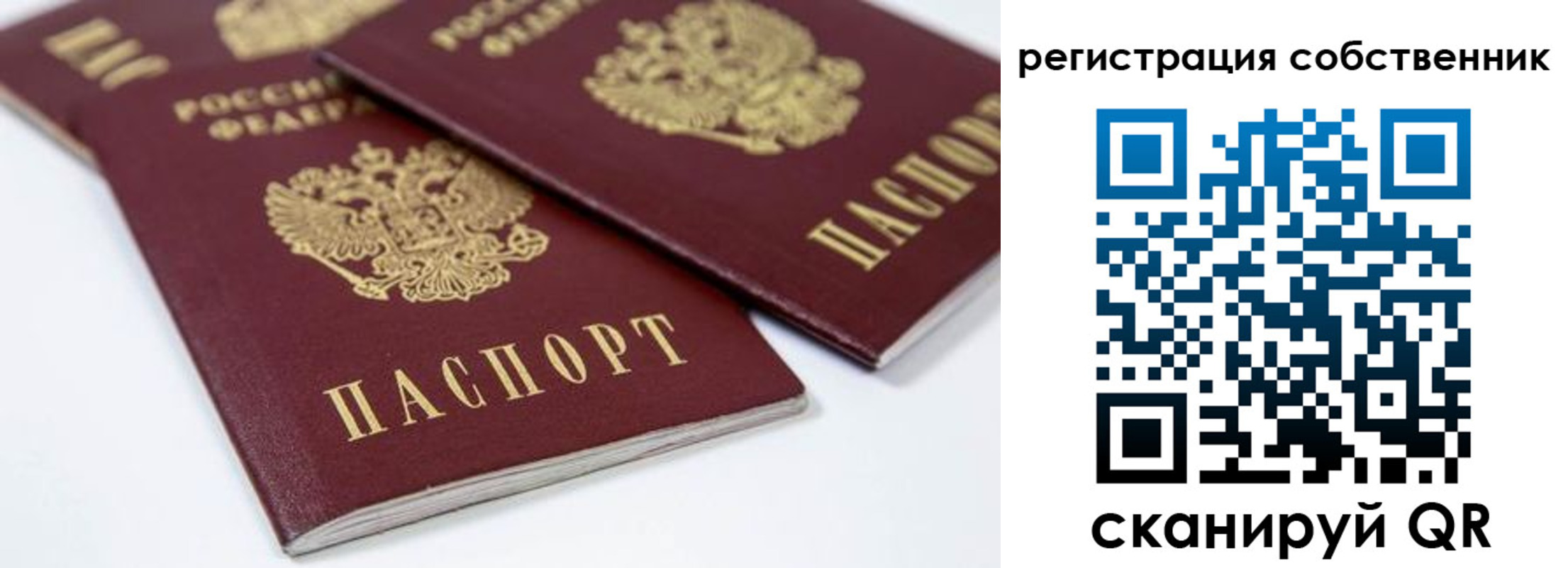прописка для школы в Ясном